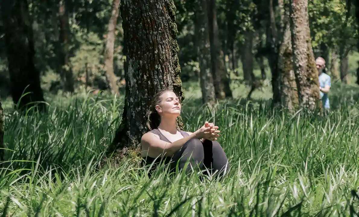 Wanaprastha Forest Therapy