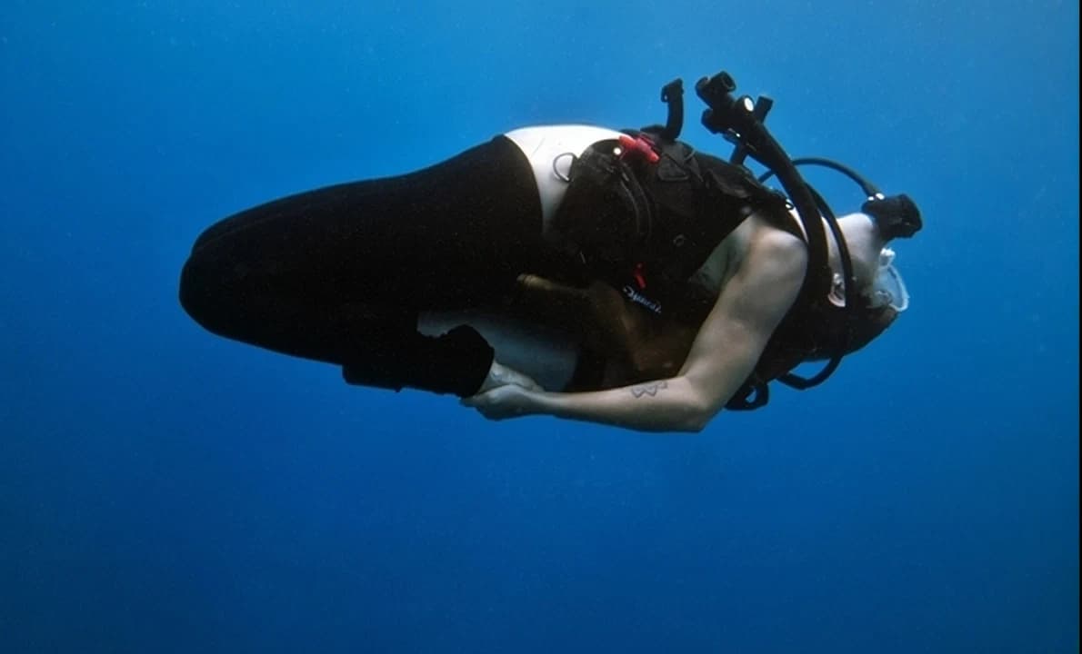 Zen Harmony Diving