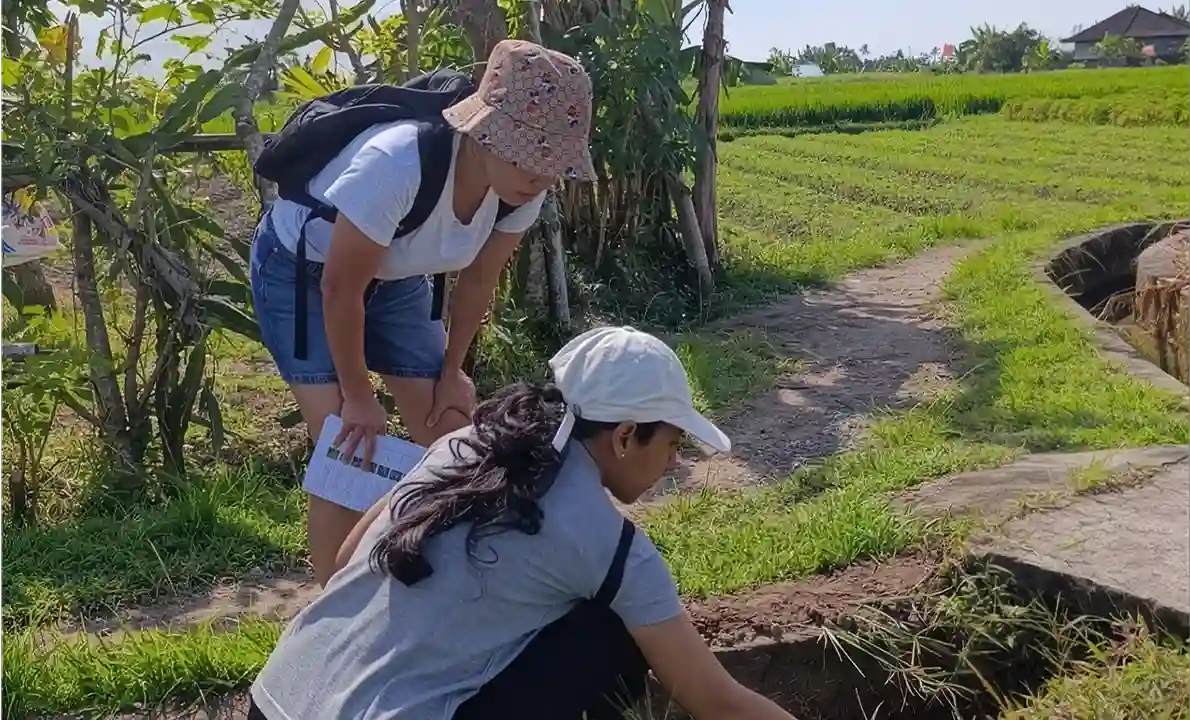Meramban Herbal Foraging